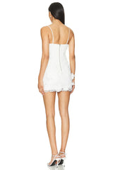 Brias Mini Dress